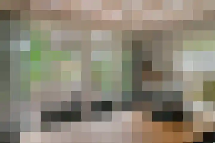 Kasteellaan 7 Druten thumbnail 19