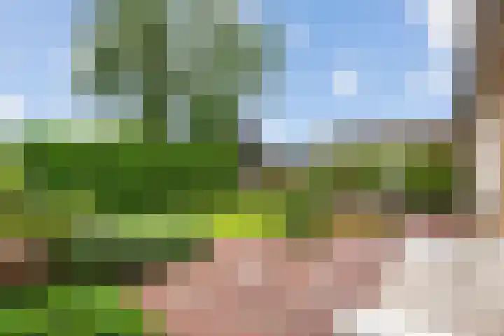 Kasteellaan 7 Druten foto 2