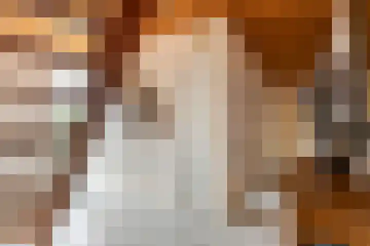 Kasteellaan 7 Druten thumbnail 21