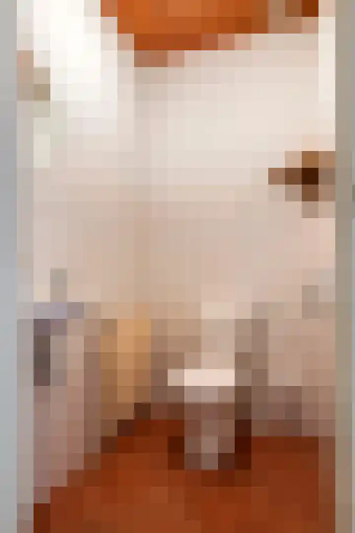 Kasteellaan 7 Druten thumbnail 28