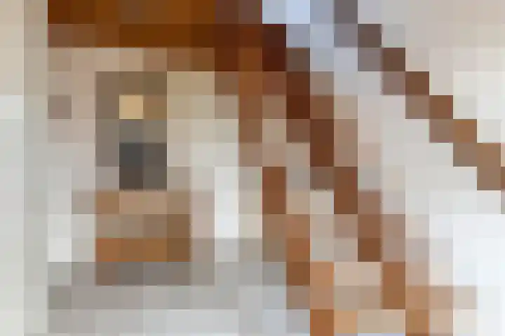 Kasteellaan 7 Druten thumbnail 29