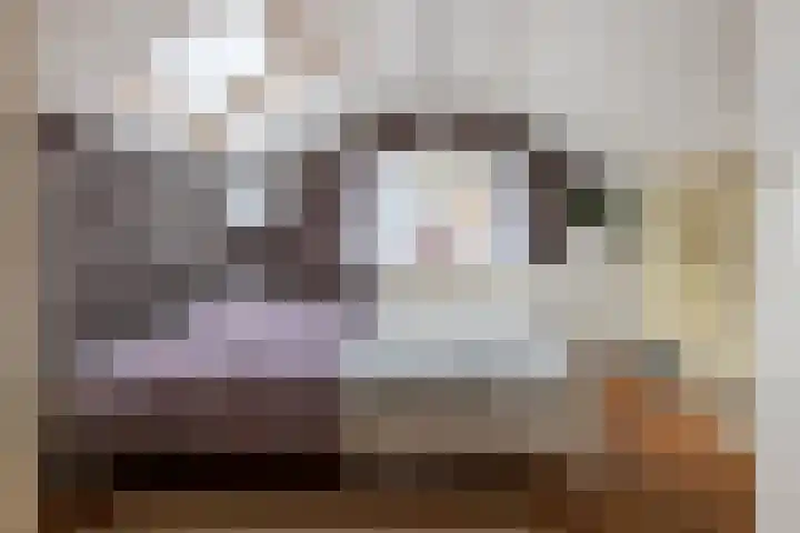 Kasteellaan 7 Druten thumbnail 30