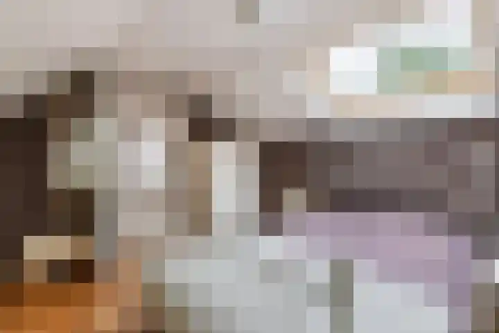 Kasteellaan 7 Druten thumbnail 31