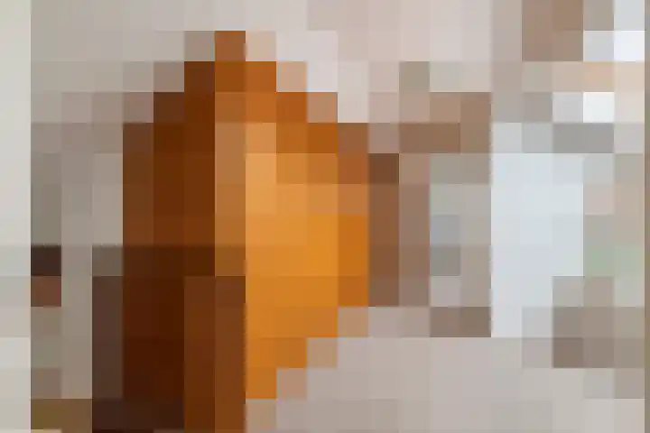 Kasteellaan 7 Druten thumbnail 33