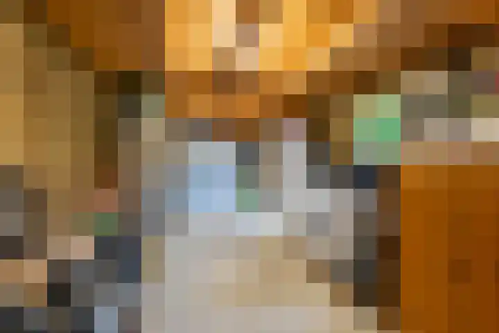 Kasteellaan 7 Druten thumbnail 37