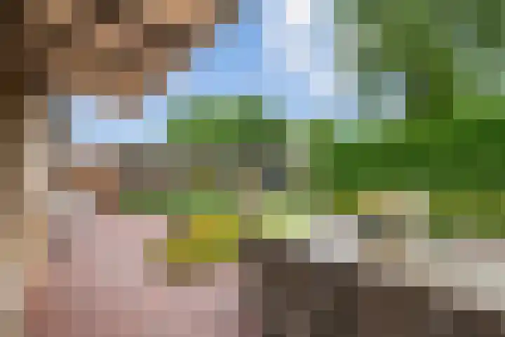 Kasteellaan 7 Druten thumbnail 38