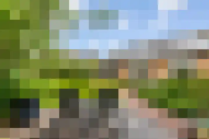 Kasteellaan 7 Druten thumbnail 39