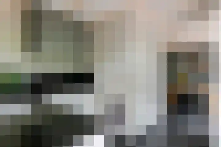 Kasteellaan 7 Druten thumbnail 4