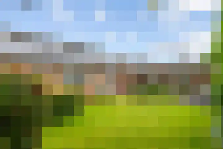 Kasteellaan 7 Druten thumbnail 40