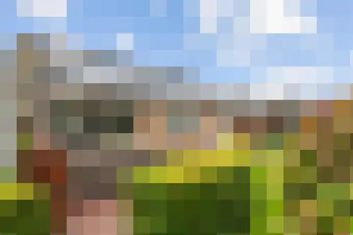 Kasteellaan 7 Druten thumbnail 41