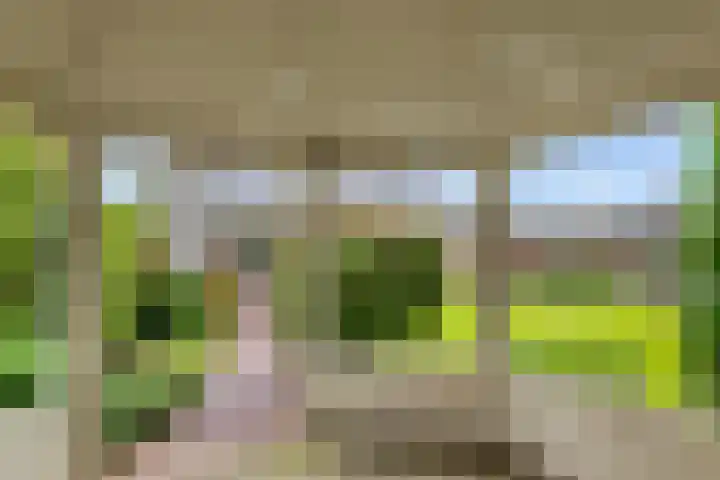 Kasteellaan 7 Druten thumbnail 42