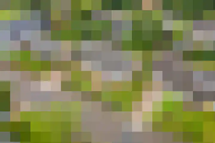 Kasteellaan 7 Druten thumbnail 48