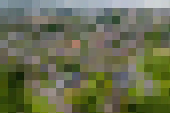 Kasteellaan 7 Druten thumbnail 49
