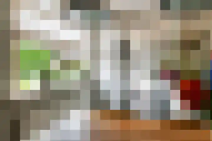 Kasteellaan 7 Druten thumbnail 7