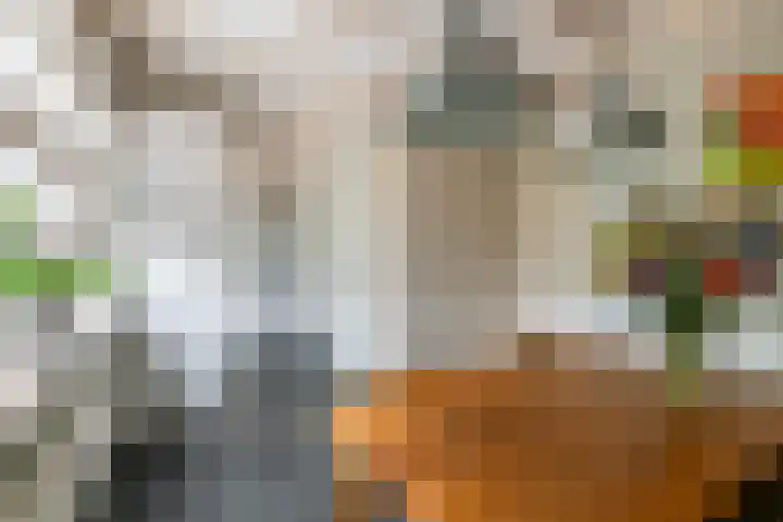 Kasteellaan 7 Druten thumbnail 9