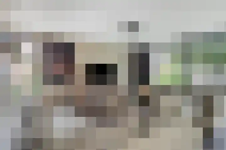 Kasteellaan 8 Well L thumbnail 16