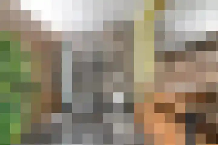 Kasteellaan 8 Well L thumbnail 25