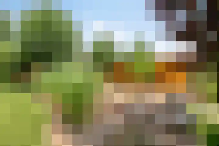 Kasteellaan 8 Well L thumbnail 46