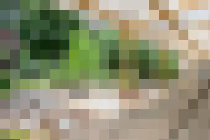 Kasteellaan 8 Well L thumbnail 47