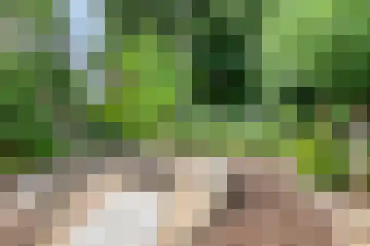Kasteellaan 8 Well L thumbnail 48
