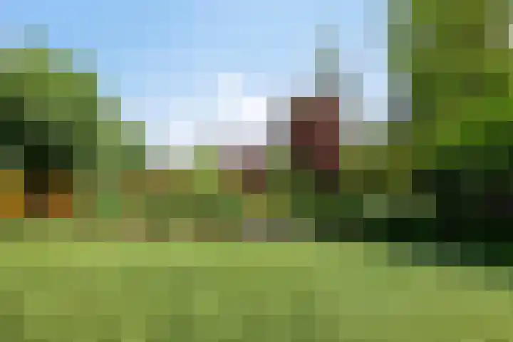 Kasteellaan 8 Well L thumbnail 56