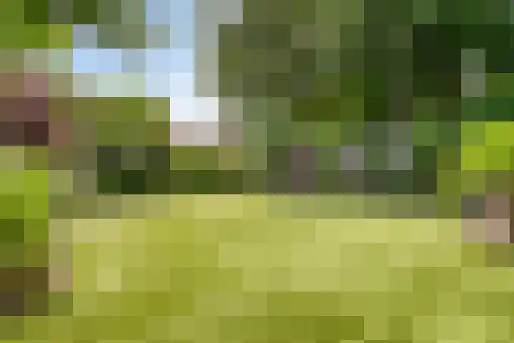 Kasteellaan 8 Well L thumbnail 57