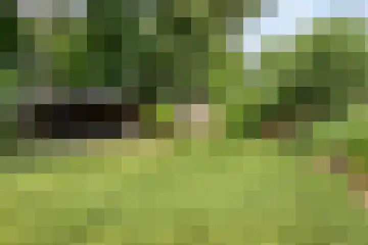 Kasteellaan 8 Well L thumbnail 58