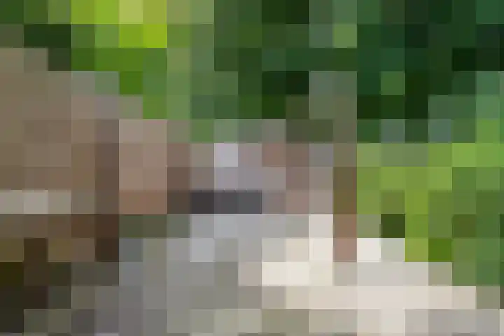 Kasteellaan 8 Well L thumbnail 60