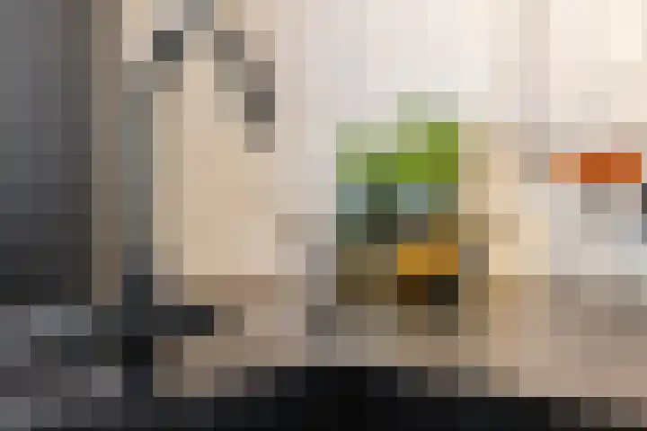 Kasteellaan 86 Eindhoven thumbnail 14