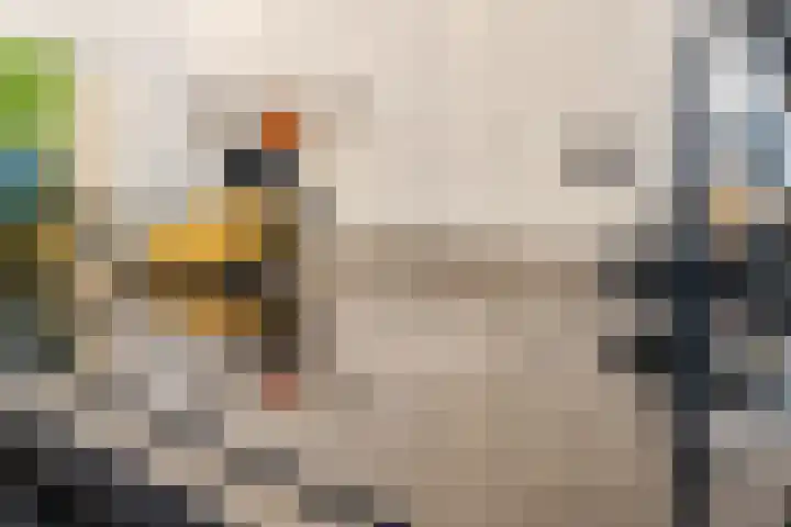 Kasteellaan 86 Eindhoven thumbnail 15