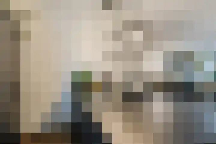 Kasteellaan 86 Eindhoven thumbnail 17