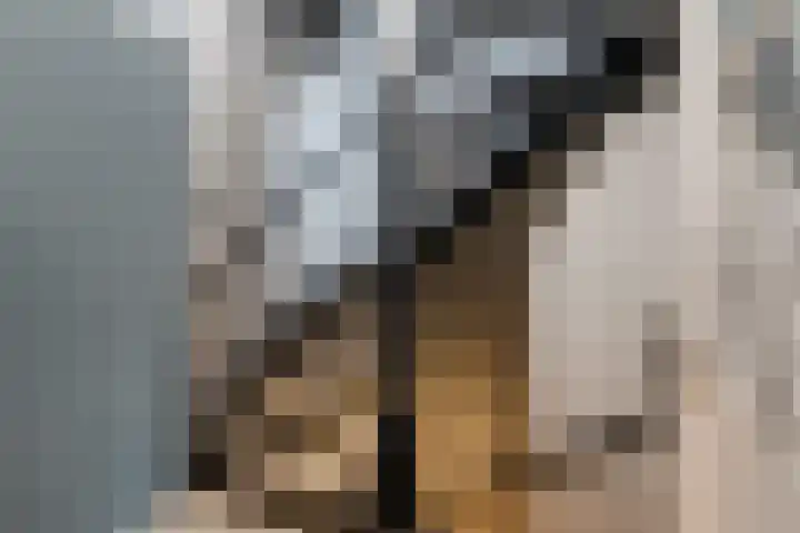 Kasteellaan 86 Eindhoven thumbnail 20