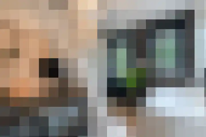 Kasteellaan 86 Eindhoven thumbnail 22