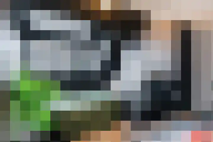 Kasteellaan 86 Eindhoven thumbnail 24