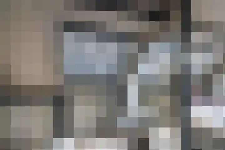 Kasteellaan 86 Eindhoven thumbnail 30
