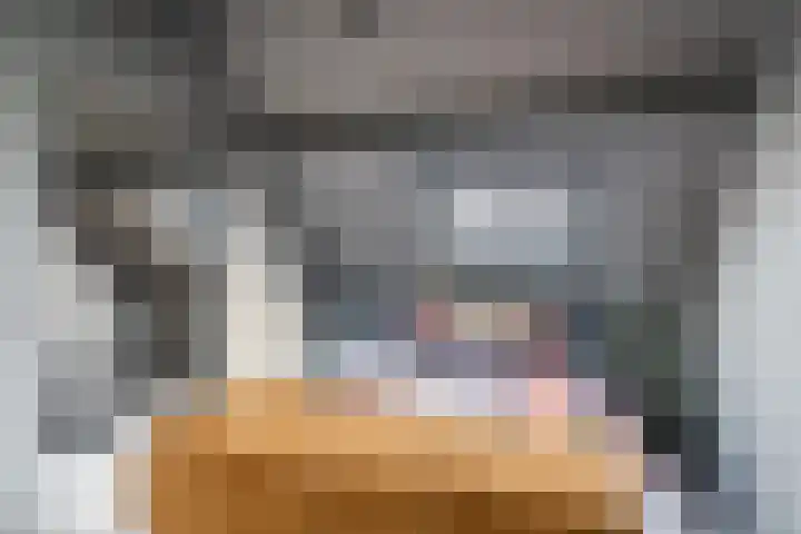 Kasteellaan 86 Eindhoven thumbnail 33