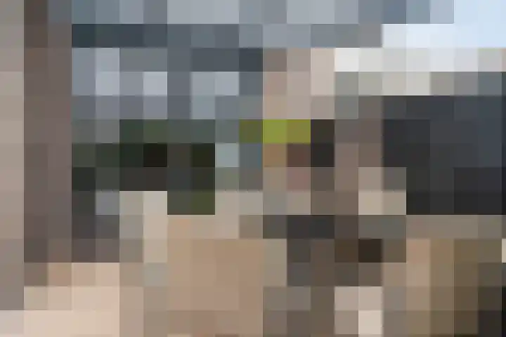 Kasteellaan 86 Eindhoven thumbnail 36