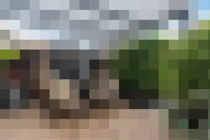 Kasteellaan 86 Eindhoven thumbnail 37