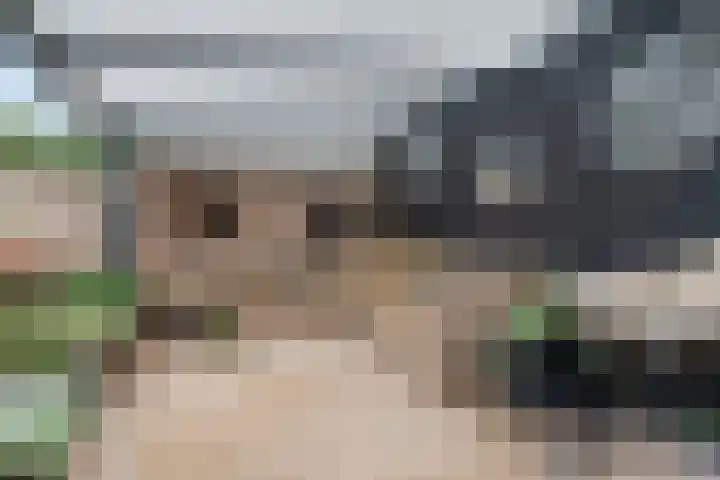 Kasteellaan 86 Eindhoven thumbnail 41