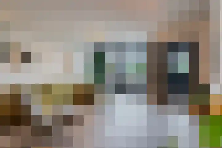 Kasteellaan 86 Eindhoven thumbnail 6