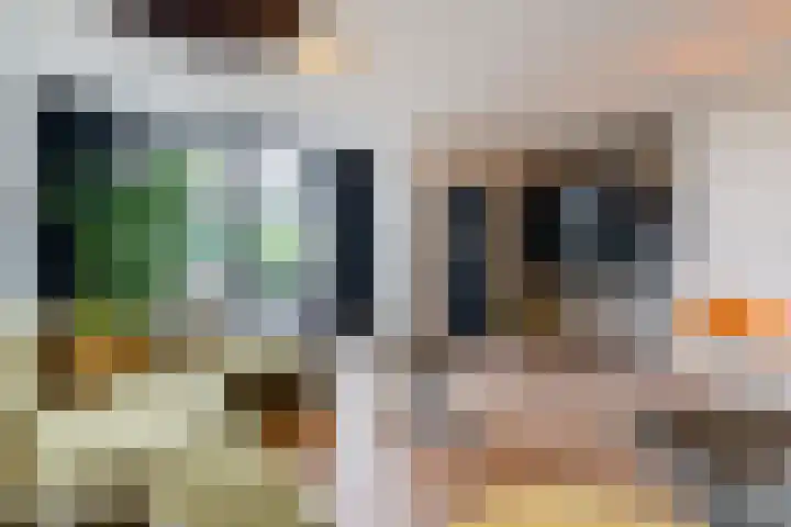 Kasteellaan 86 Eindhoven thumbnail 7