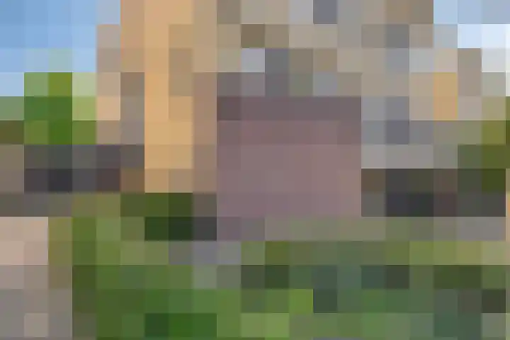 Kasteellaan 98 Apeldoorn thumbnail 33
