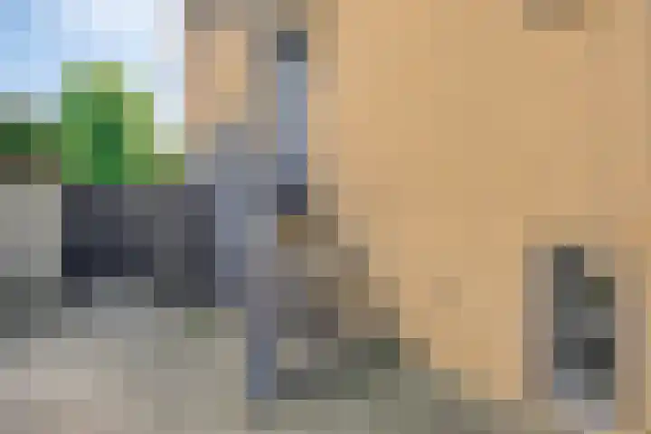 Kasteellaan 98 Apeldoorn thumbnail 39