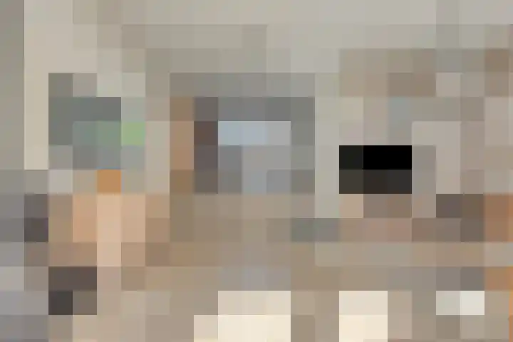 Kasteellaan 98 Apeldoorn thumbnail 4