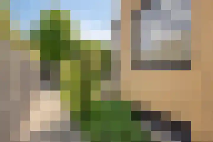 Kasteellaan 98 Apeldoorn thumbnail 40