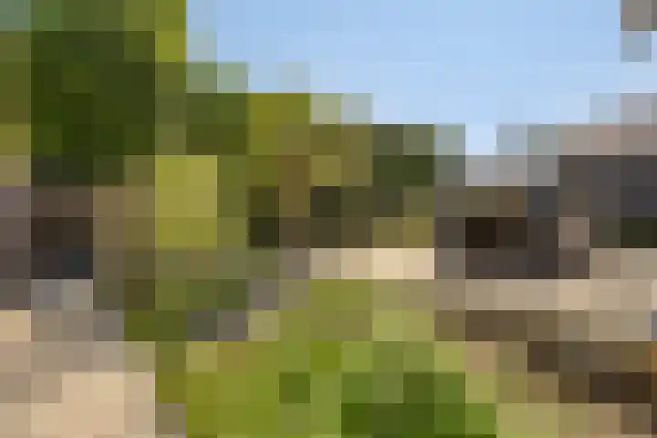 Kasteellaan 98 Apeldoorn thumbnail 41