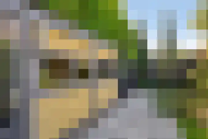 Kasteellaan 98 Apeldoorn thumbnail 42