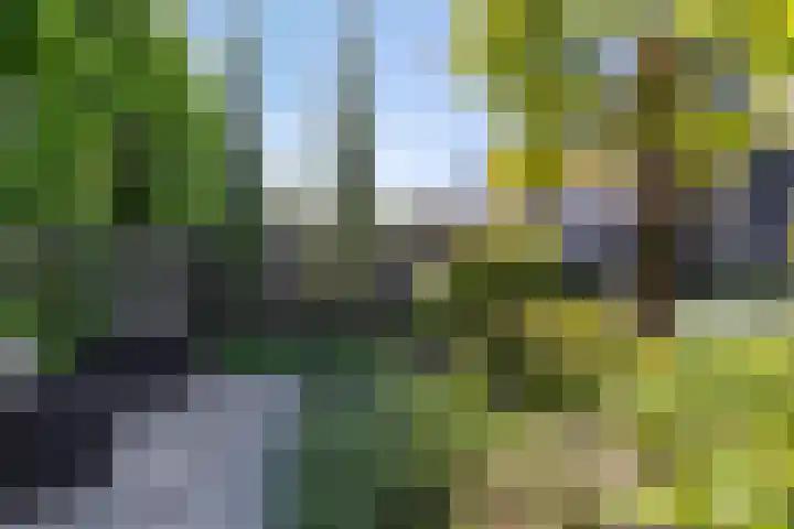 Kasteellaan 98 Apeldoorn thumbnail 43