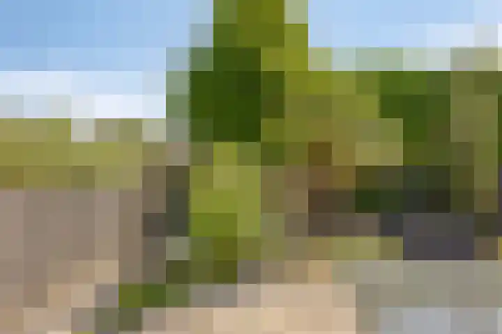 Kasteellaan 98 Apeldoorn thumbnail 44
