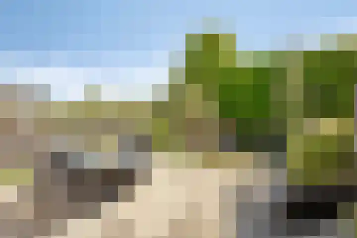 Kasteellaan 98 Apeldoorn thumbnail 46